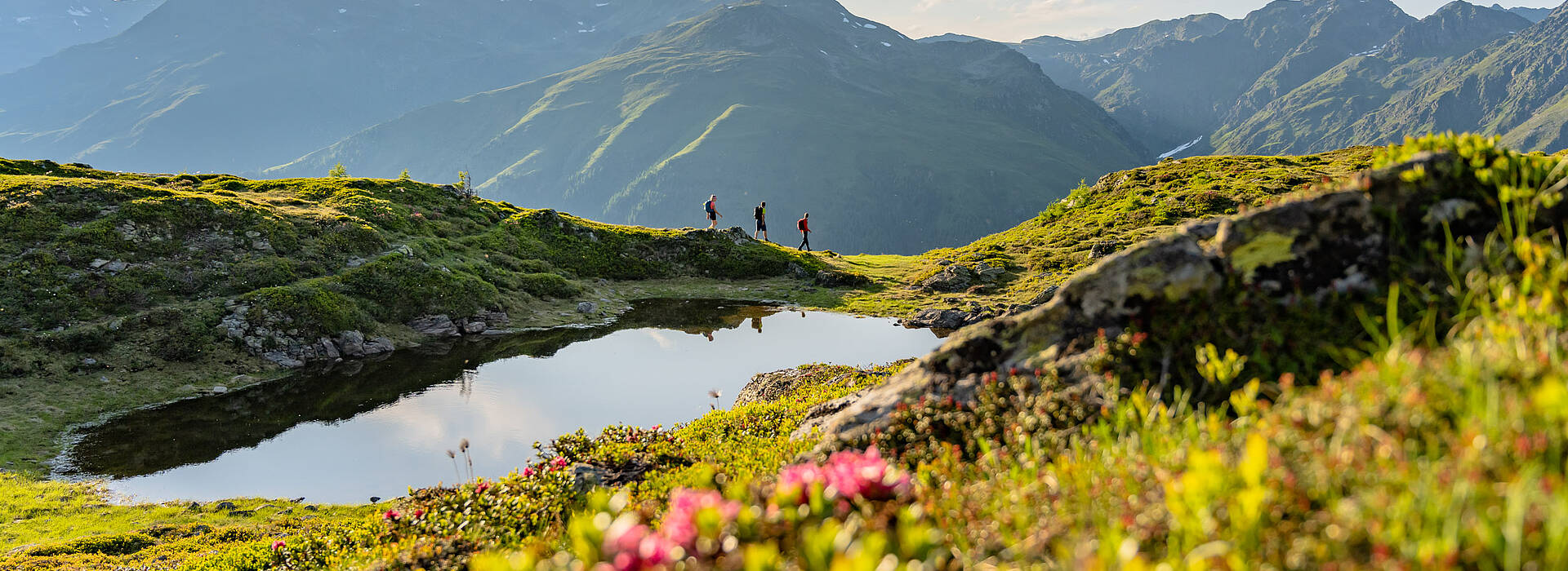 Bergfruehling im Drautal